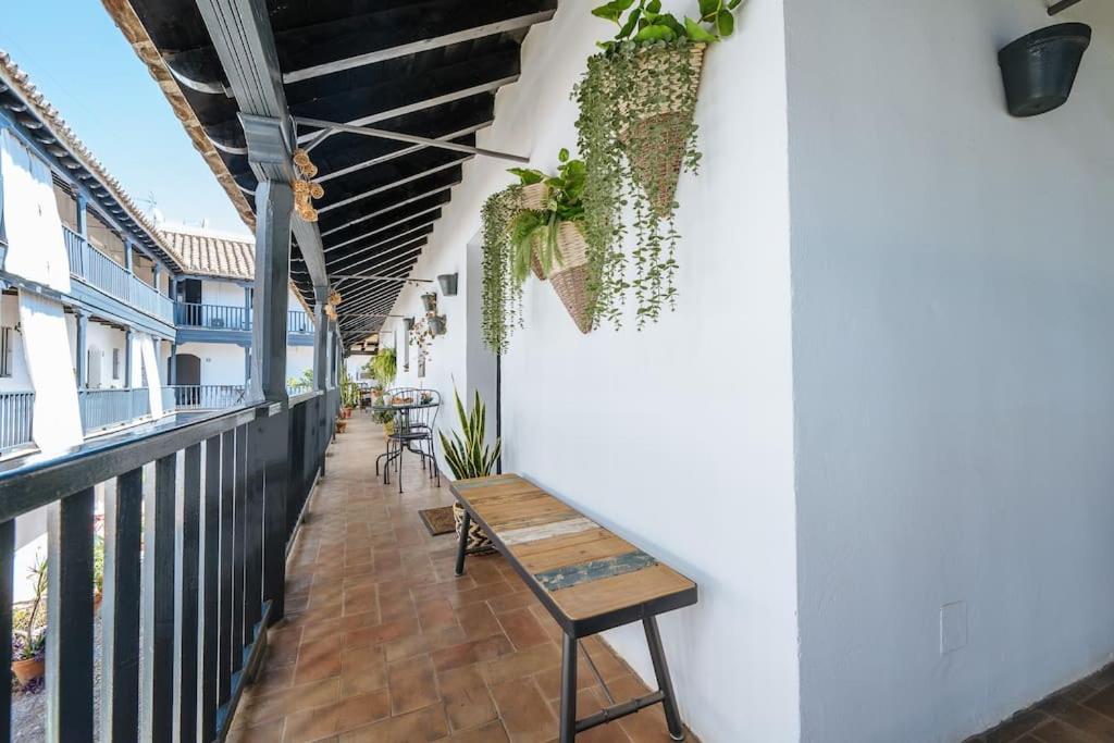 New Apartment In Traditional Building Of The XVI Century Seville Exterior photo